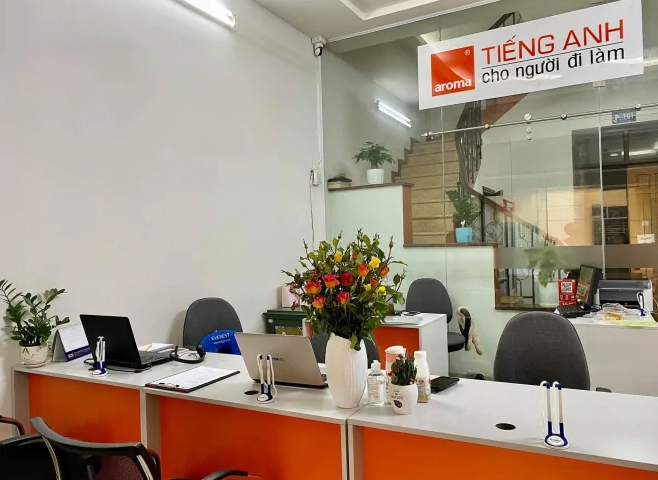lĩnh vực hoạt động